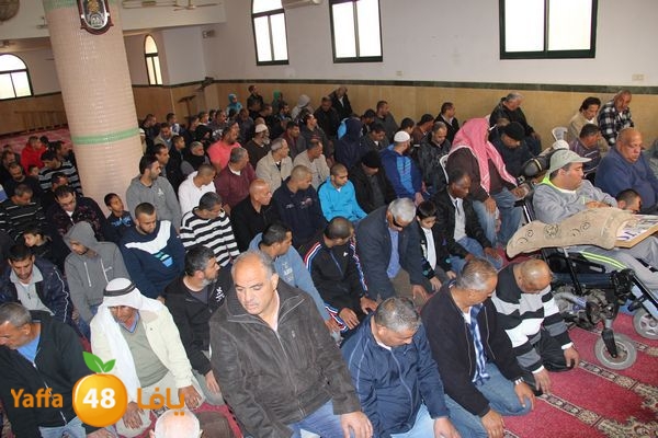 jarhoshuy msajed 0110 (23).JPG